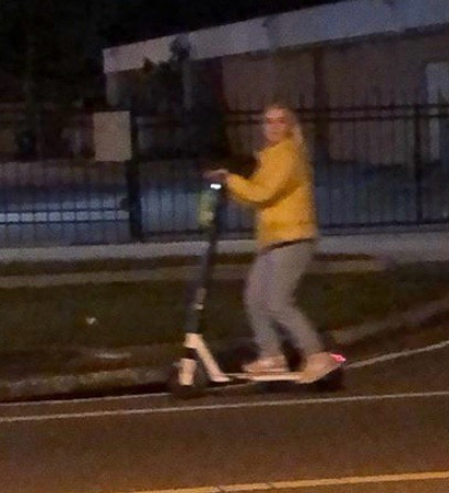 Cinseri